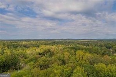 Nestled on a level lot just over half an acre, this beautifully - photo 38