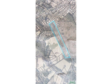 (private lake, pond, coastal) Acreage For Sale in Guyton Georgia