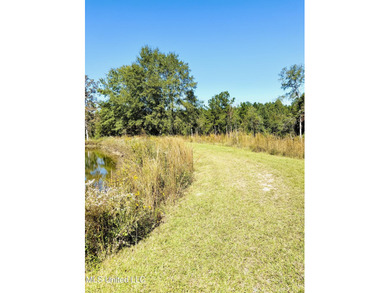 Lake Acreage For Sale in Poplarville, Mississippi