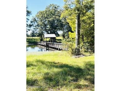 Looking for the perfect property to build your next home? - photo 3