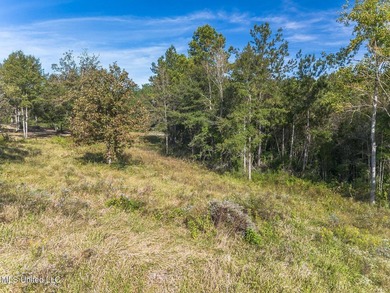 Looking for the perfect property to build your next home? - photo 9