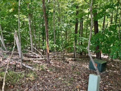 Additional listing photo 4