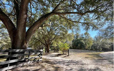 (private lake, pond, creek) Acreage For Sale in Mcalpin Florida