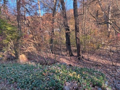 2 Lots Are Included With The Sale Old Woodland Trail & 9 Old - photo 11