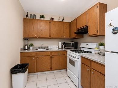Welcome to 4779 White Plains Road, a mixed-use property - photo 11