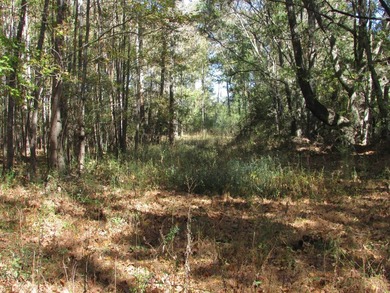 72.5 acres of open pastureland with dirt work started for a lake - photo 14