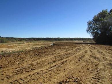 72.5 acres of open pastureland with dirt work started for a lake - photo 15