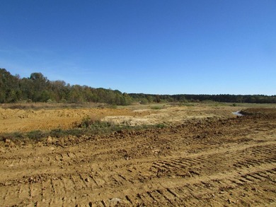72.5 acres of open pastureland with dirt work started for a lake - photo 16