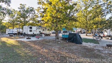 Welcome to Bucksaw Resort & Marina-one of only five marinas on - photo 26