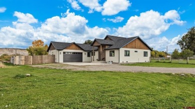 (private lake, pond, creek) Home For Sale in Montrose Colorado