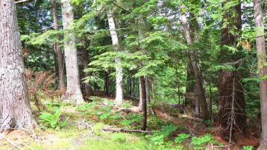 Lake Acreage For Sale in Amherst, Maine