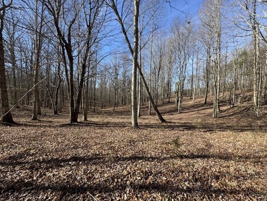 For those searching for true Tennessee mountain beauty, this +/- - photo 5