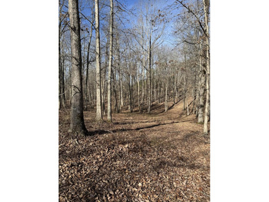 For those searching for true Tennessee mountain beauty, this +/- - photo 6