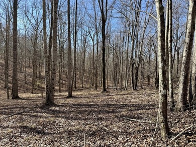 For those searching for true Tennessee mountain beauty, this +/- - photo 7