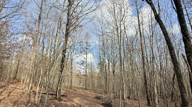For those searching for true Tennessee mountain beauty, this +/- - photo 8