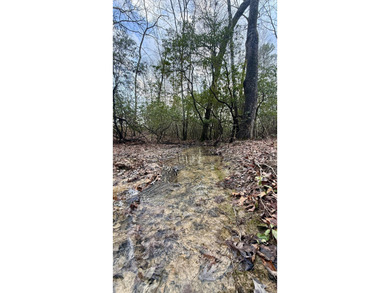 For those searching for true Tennessee mountain beauty, this +/- - photo 10
