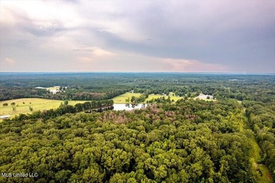 Location, Location Location! This property is centrally located - photo 4