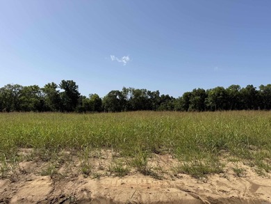 New Development inside the city limits of Heber Springs. River - photo 1