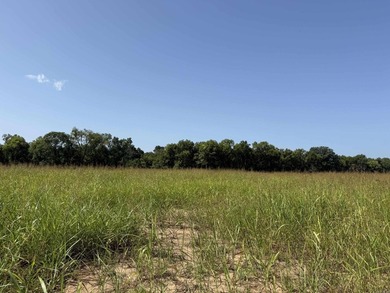 New Development inside the city limits of Heber Springs. River - photo 2