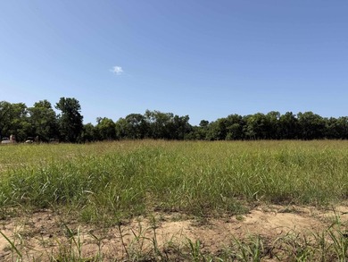 New Development inside the city limits of Heber Springs. River - photo 3