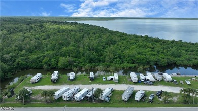 Lake Trafford Marina & Airboats and Alligators - Immokalee's - photo 4