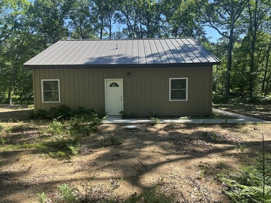 Big Star Lake Access! Bayak Beach! Freshly finished and ready - photo 4