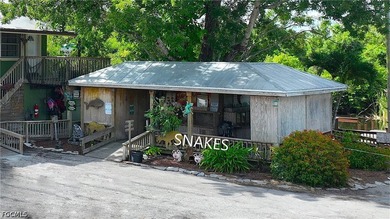 Lake Trafford Marina & Airboats and Alligators - Immokalee's - photo 8