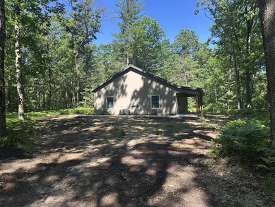 Big Star Lake Access! Bayak Beach! Freshly finished and ready - photo 8