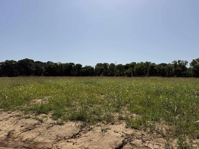 New Development inside the city limits of Heber Springs. River - photo 1