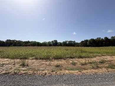 New Development inside the city limits of Heber Springs. River - photo 2