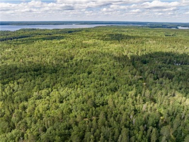 Rush Lake - Sherburne County Acreage For Sale in Ideal Twp Minnesota