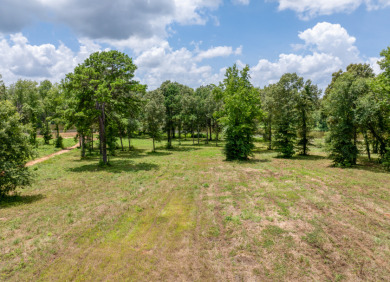 Stone Chimney Cove- A protected cove from big water damage. - Lake Lot For Sale in Bullard, Texas