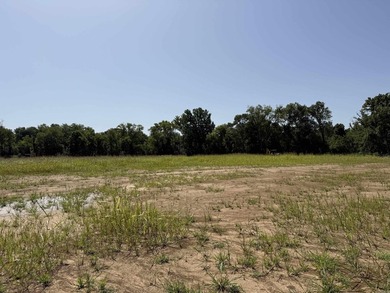 New Development inside the city limits of Heber Springs. River - photo 2