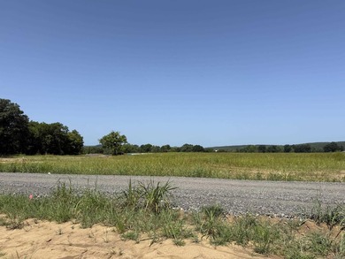 New Development inside the city limits of Heber Springs. River - photo 4
