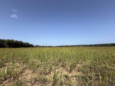 New Development inside the city limits of Heber Springs. River - photo 2