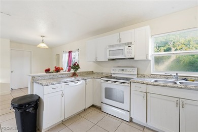 Investor-friendly opportunity or a great option for a first-time - photo 11