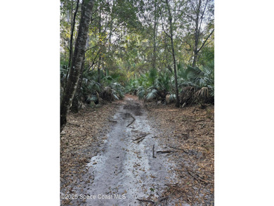 Discover a rare 52.39+/- acre development opportunity with a - photo 11
