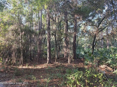 Discover a rare 52.39+/- acre development opportunity with a - photo 12