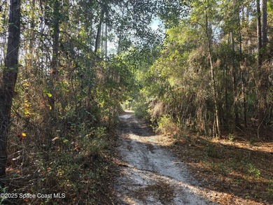 Discover a rare 52.39+/- acre development opportunity with a - photo 13