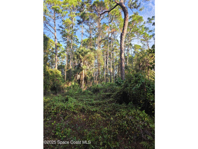 Discover a rare 52.39+/- acre development opportunity with a - photo 14