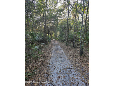 Discover a rare 52.39+/- acre development opportunity with a - photo 15