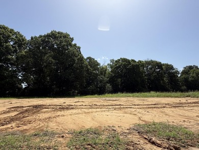 New Development inside the city limits of Heber Springs. River - photo 6