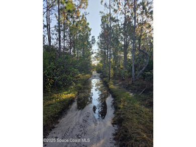 Discover a rare 52.39+/- acre development opportunity with a - photo 18