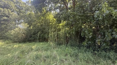 New Development inside the city limits of Heber Springs. River - photo 2