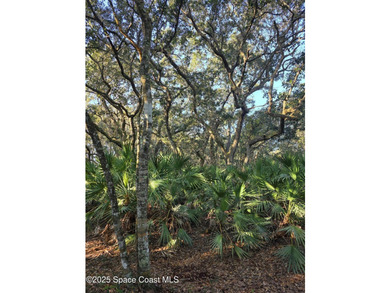 Discover a rare 52.39+/- acre development opportunity with a - photo 22