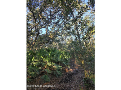 Discover a rare 52.39+/- acre development opportunity with a - photo 23