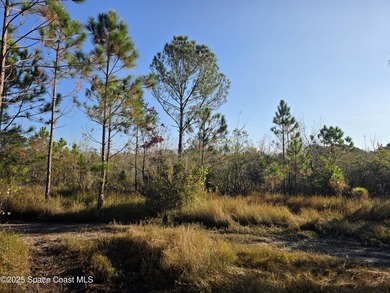 Discover a rare 52.39+/- acre development opportunity with a - photo 24