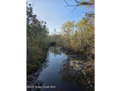 Discover a rare 52.39+/- acre development opportunity with a - photo 25