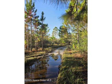 Discover a rare 52.39+/- acre development opportunity with a - photo 26
