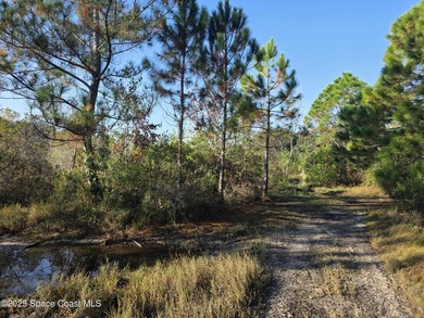 Discover a rare 52.39+/- acre development opportunity with a - photo 27